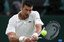 lol季中赛-意大利网球队完胜英国网球队，瓦林卡制霸全场的简单介绍