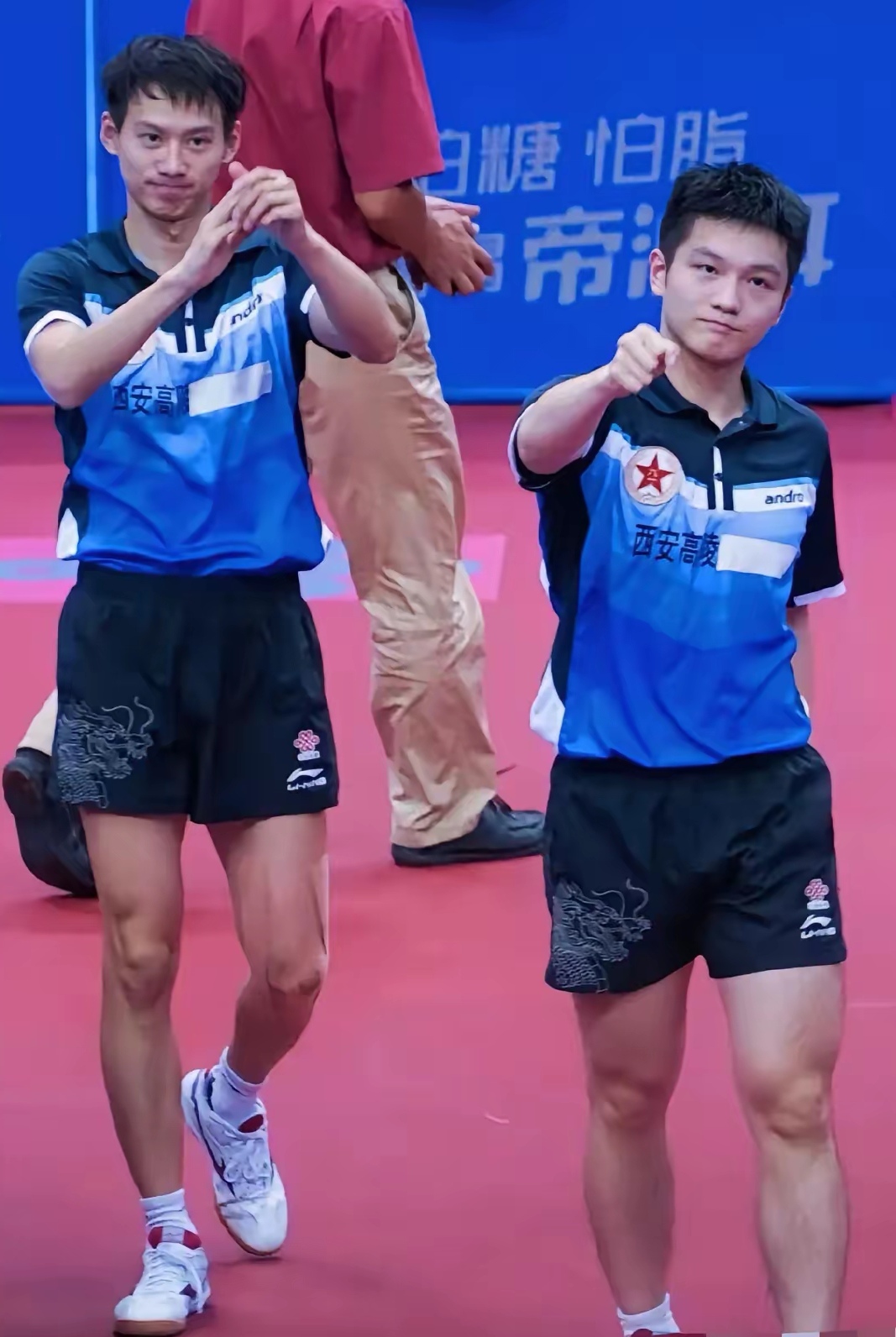 德国队力克奥地利队,樊振东带队取胜 德国队力克奥地利队,樊振东带队取胜